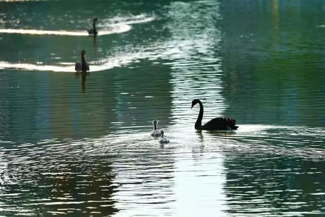 新葡京博彩官网