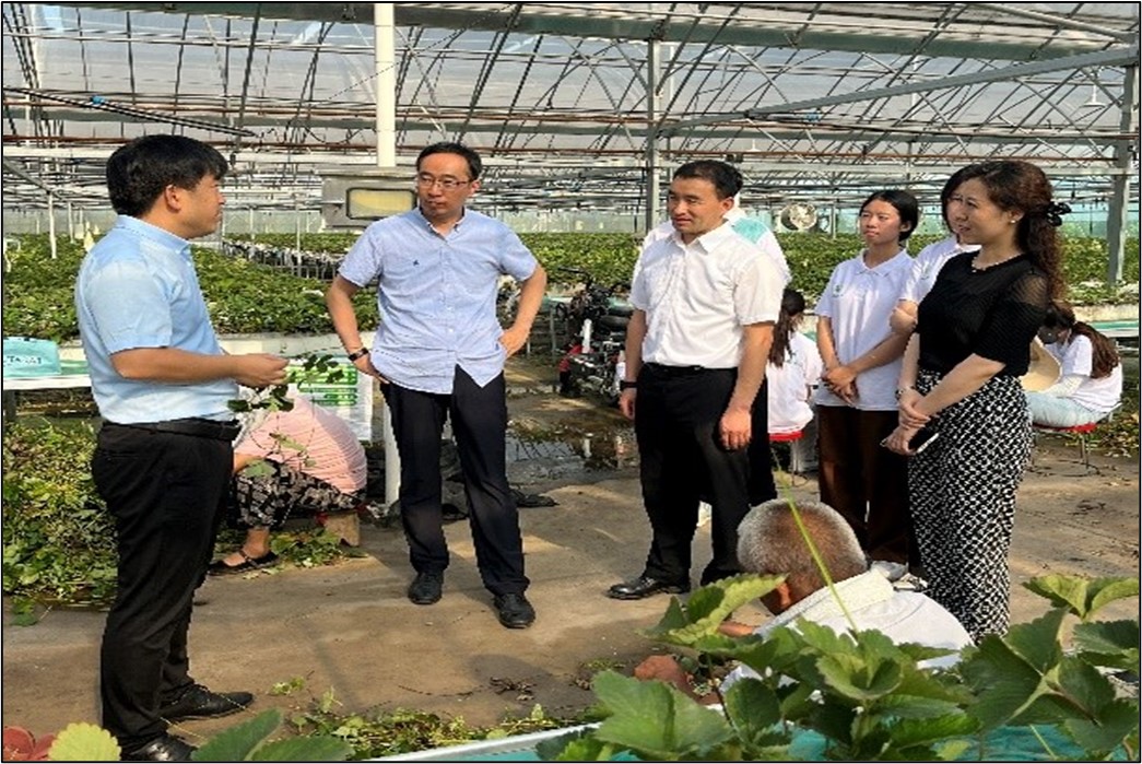 新葡京博彩官网