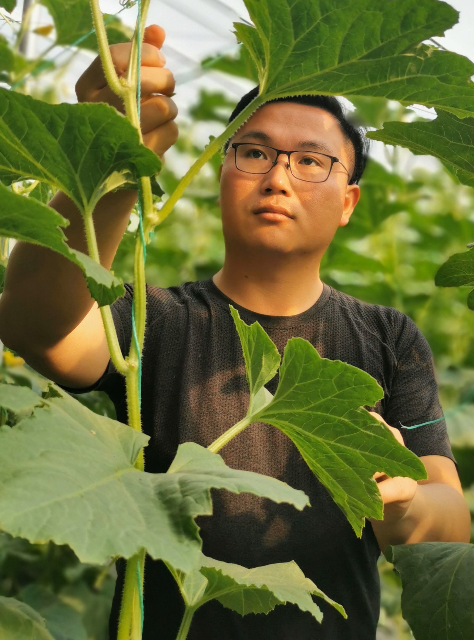 新葡京博彩官网