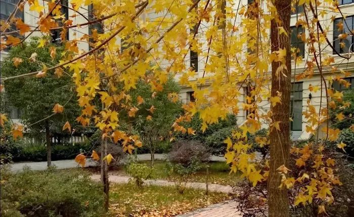 新葡京博彩官网