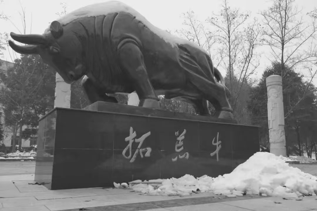 新葡京博彩官网