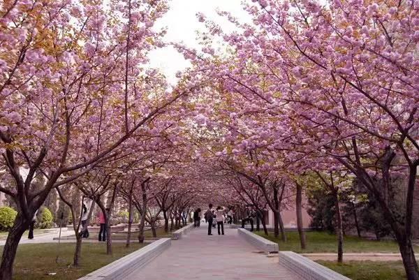 新葡京博彩官网