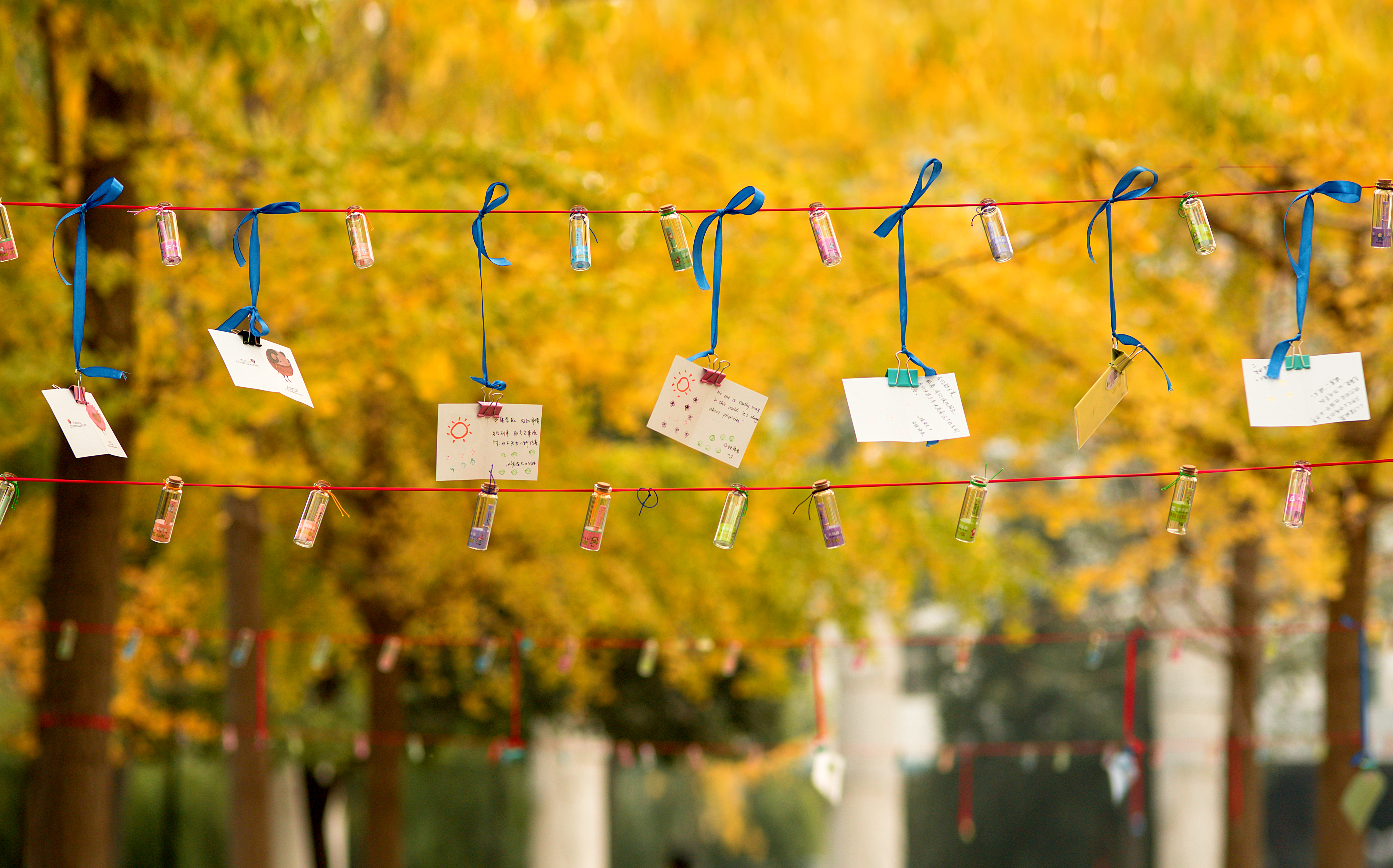 新葡京博彩官网