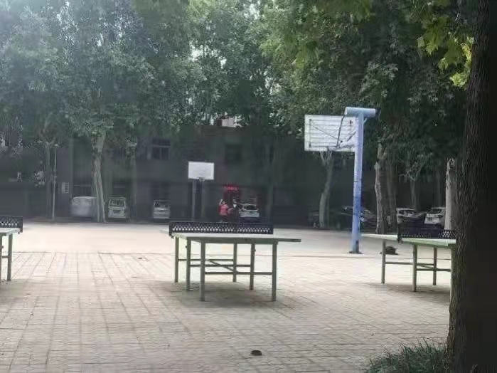 新葡京博彩官网