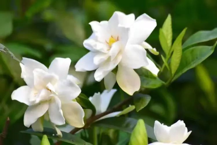 新葡京博彩官网