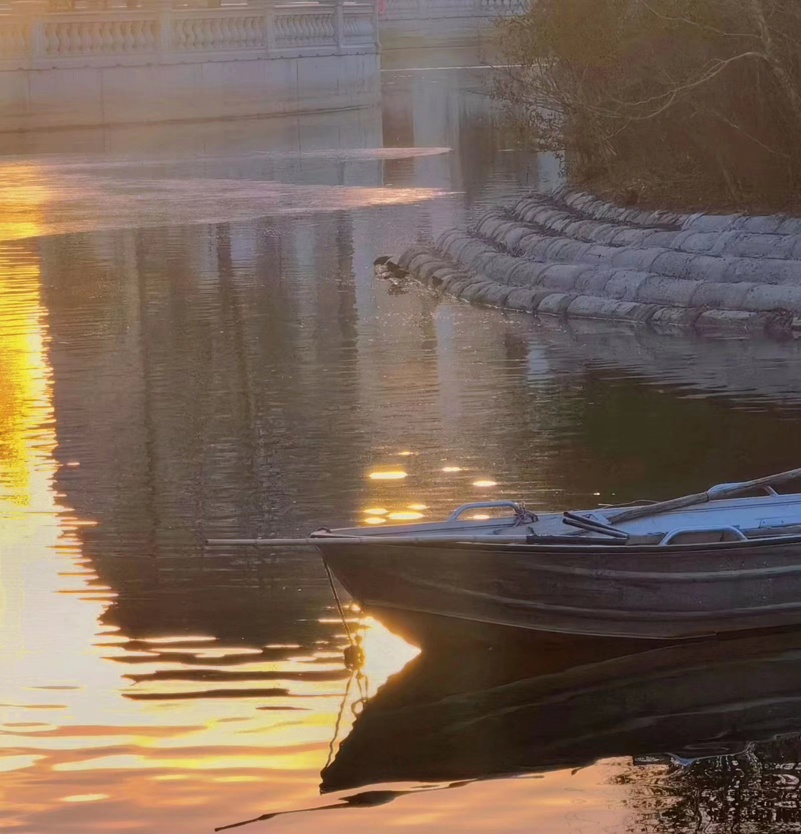 新葡京博彩官网