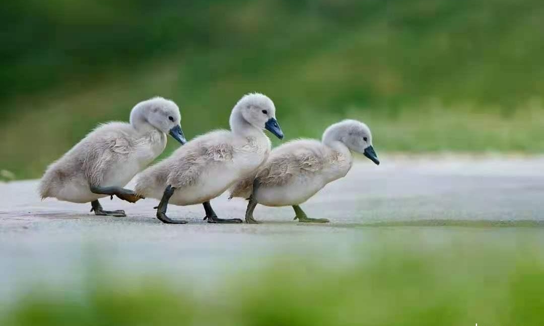 新葡京博彩官网