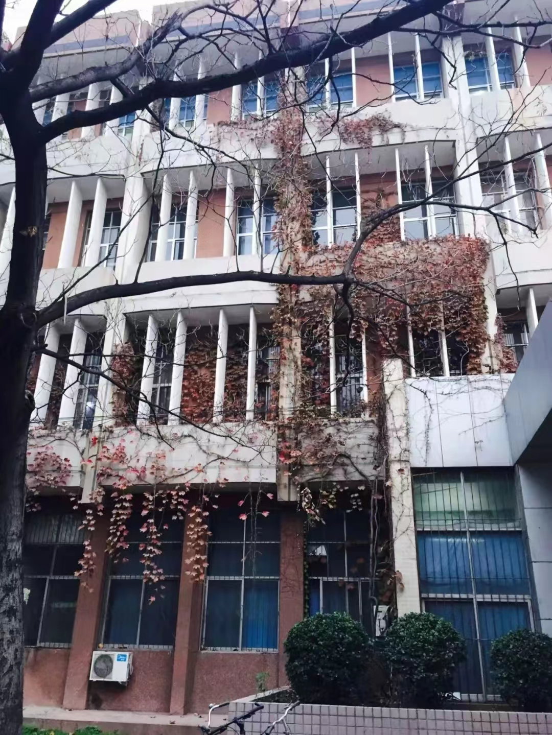 新葡京博彩官网