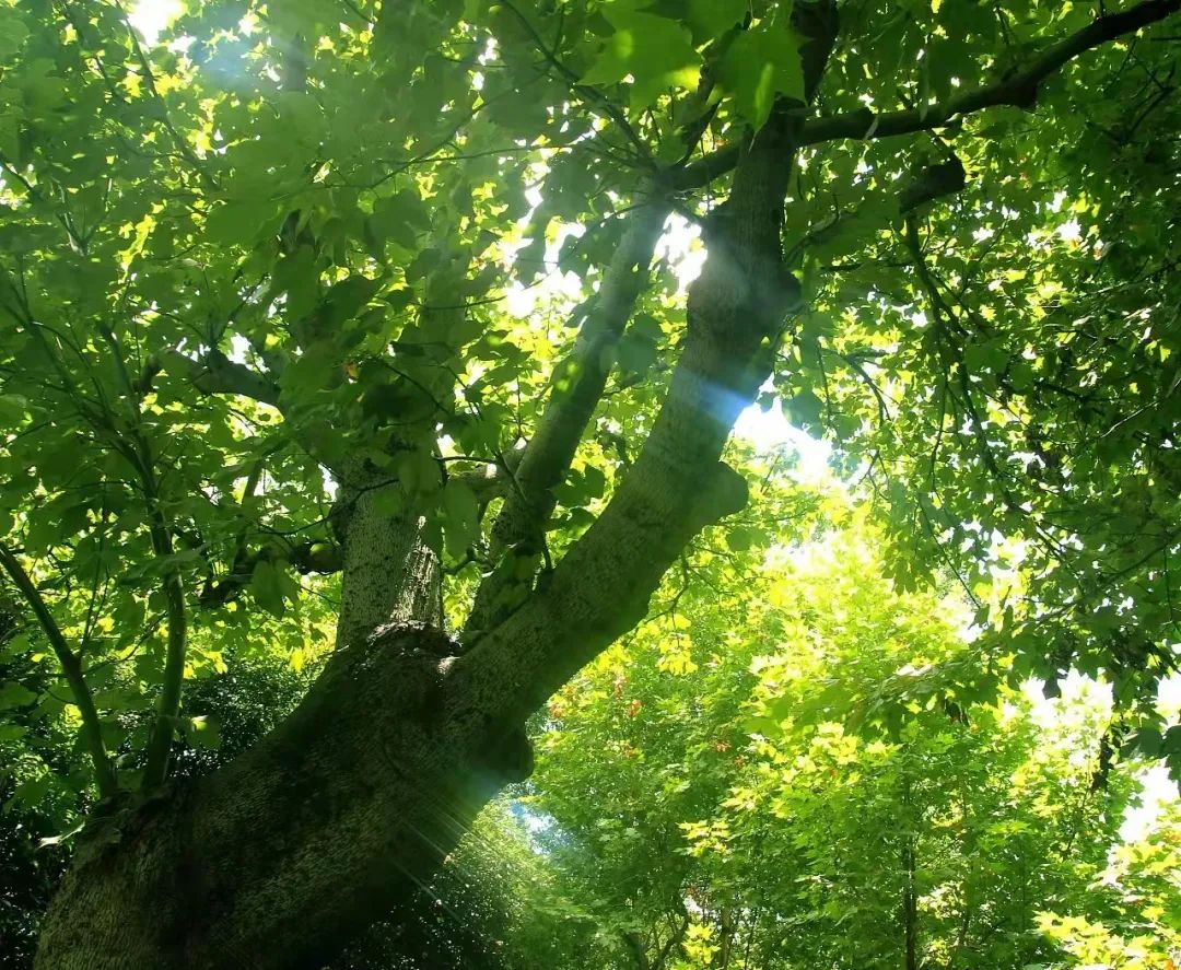 新葡京博彩官网