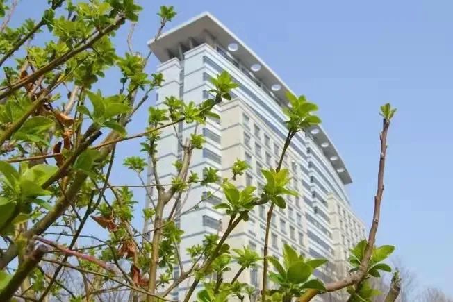 新葡京博彩官网