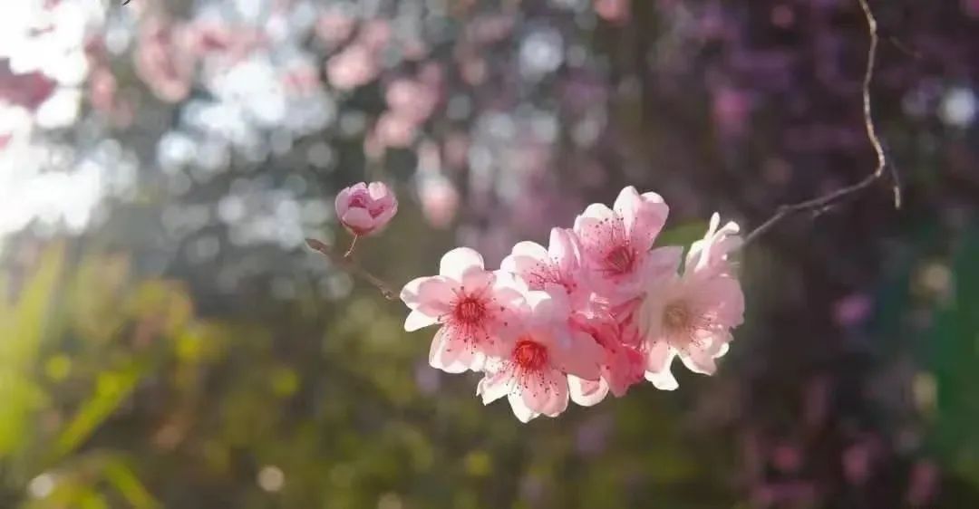 新葡京博彩官网