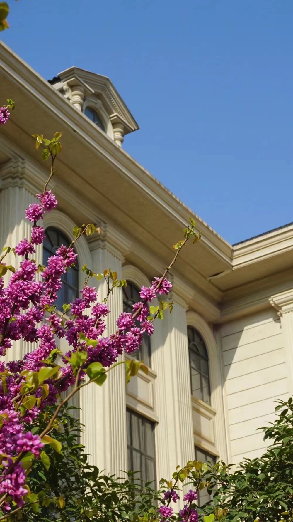 新葡京博彩官网