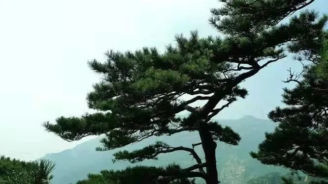 新葡京博彩官网