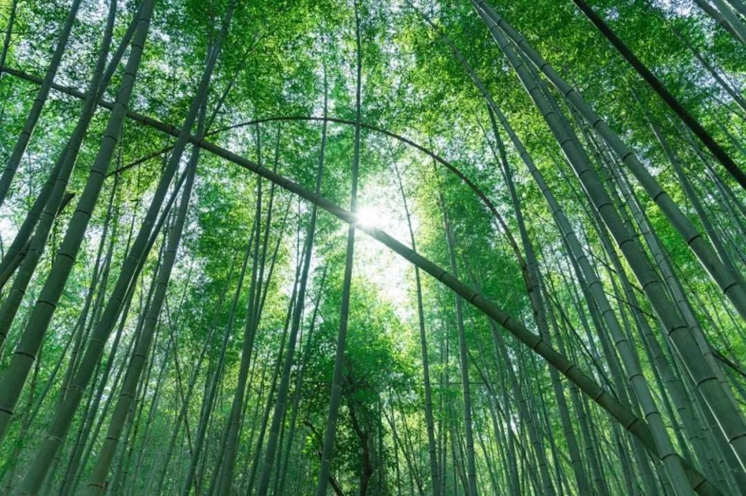 新葡京博彩官网