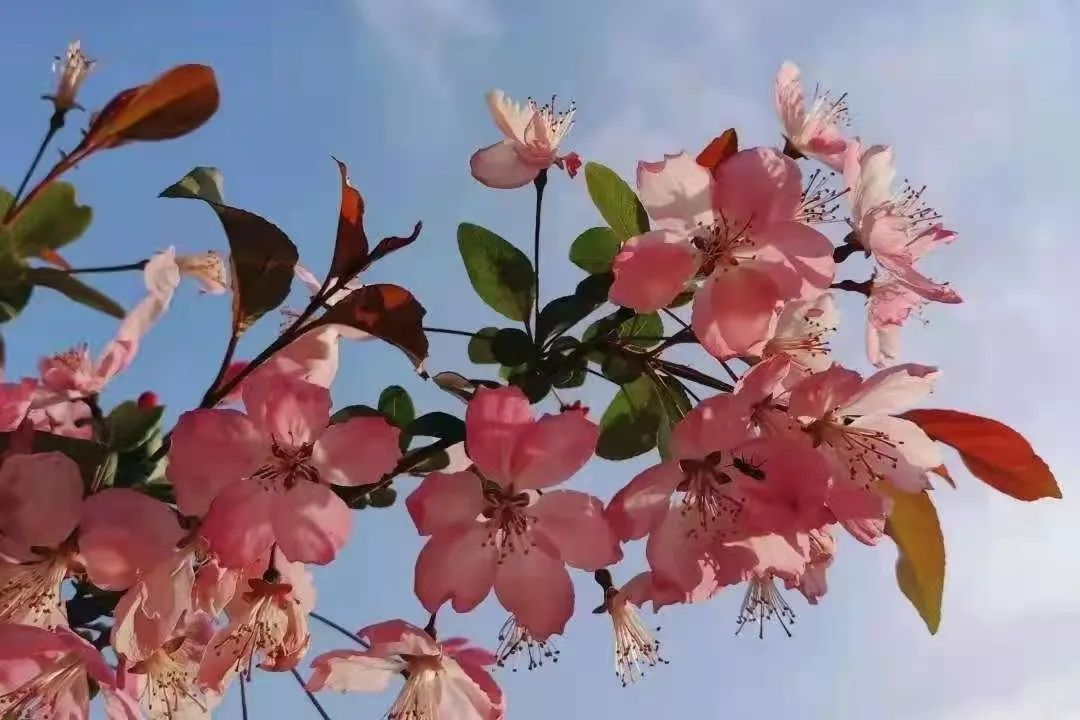 新葡京博彩官网