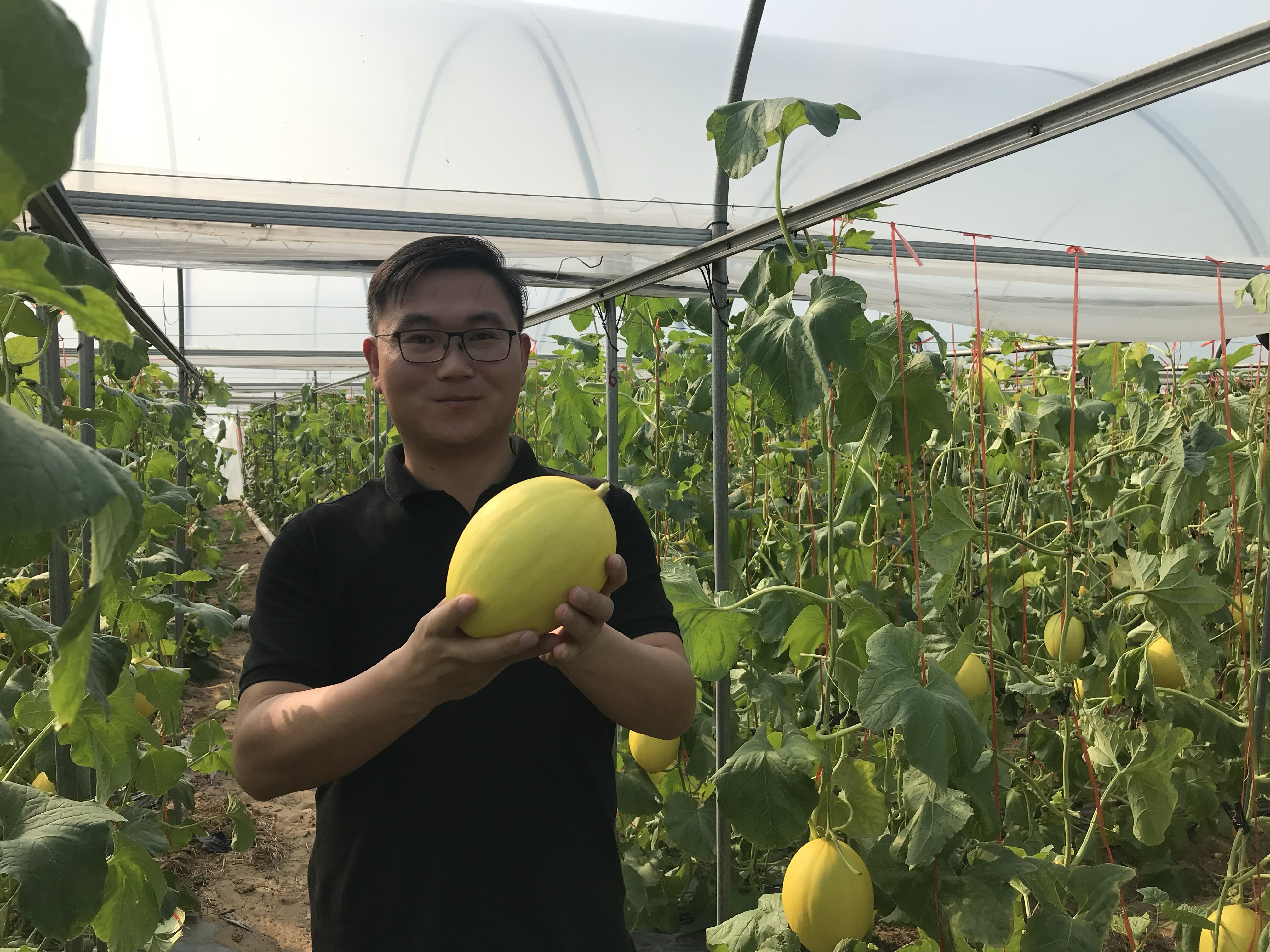 新葡京博彩官网