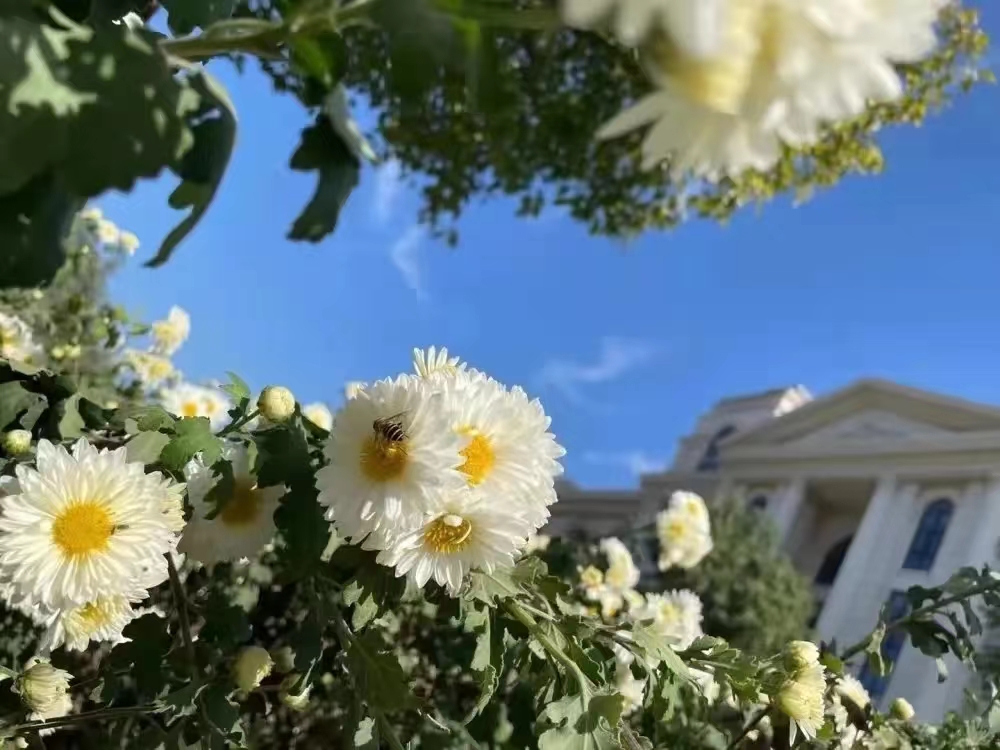 新葡京博彩官网