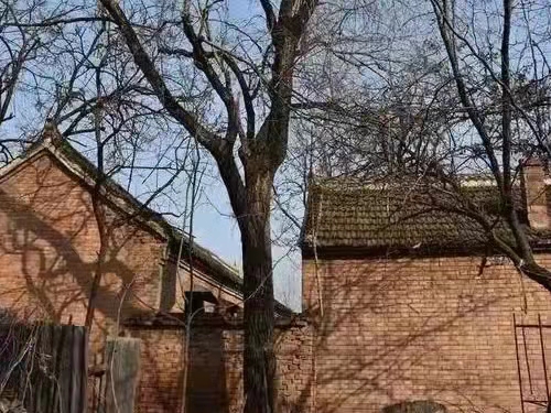 新葡京博彩官网