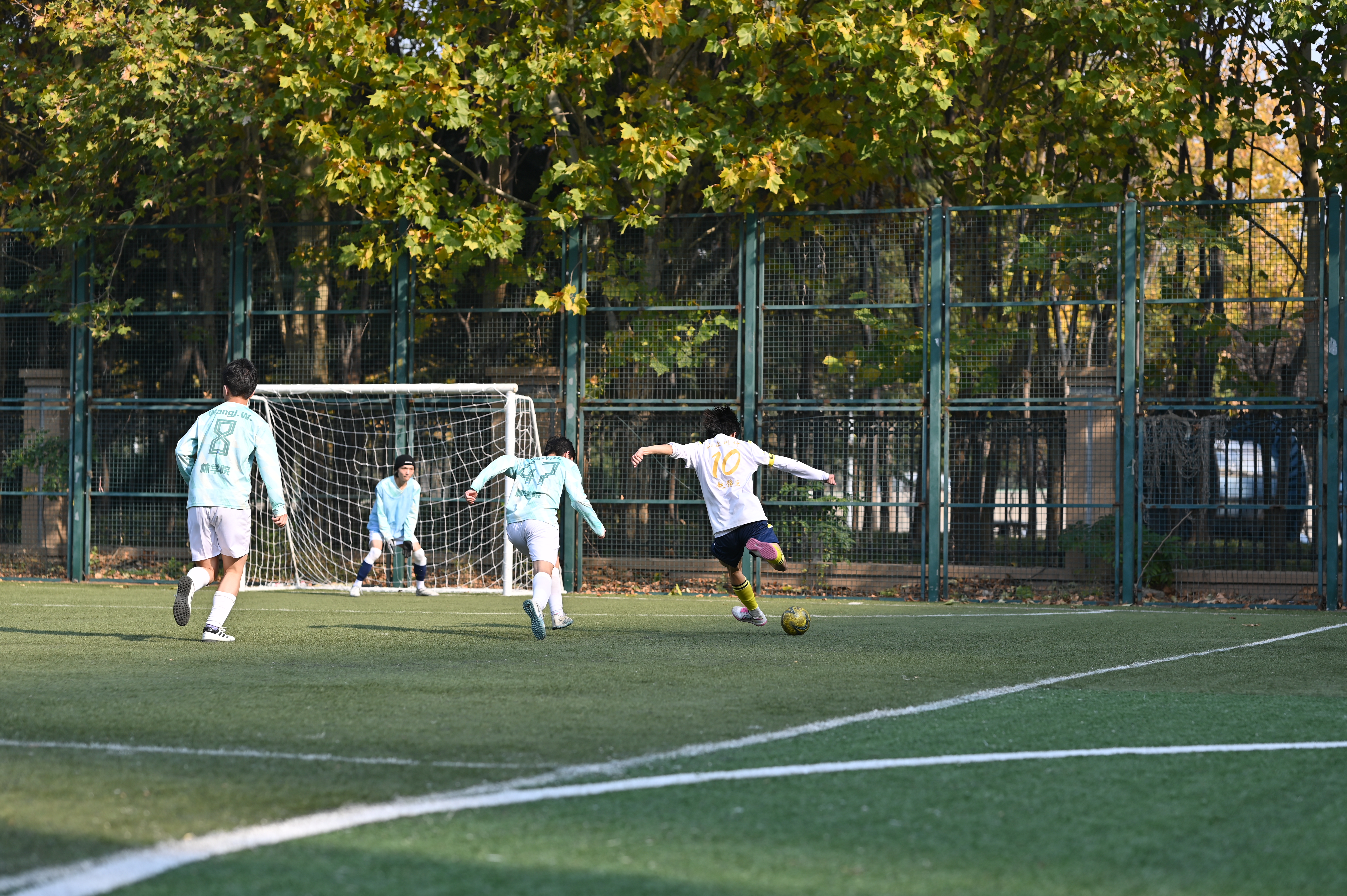 新葡京博彩官网