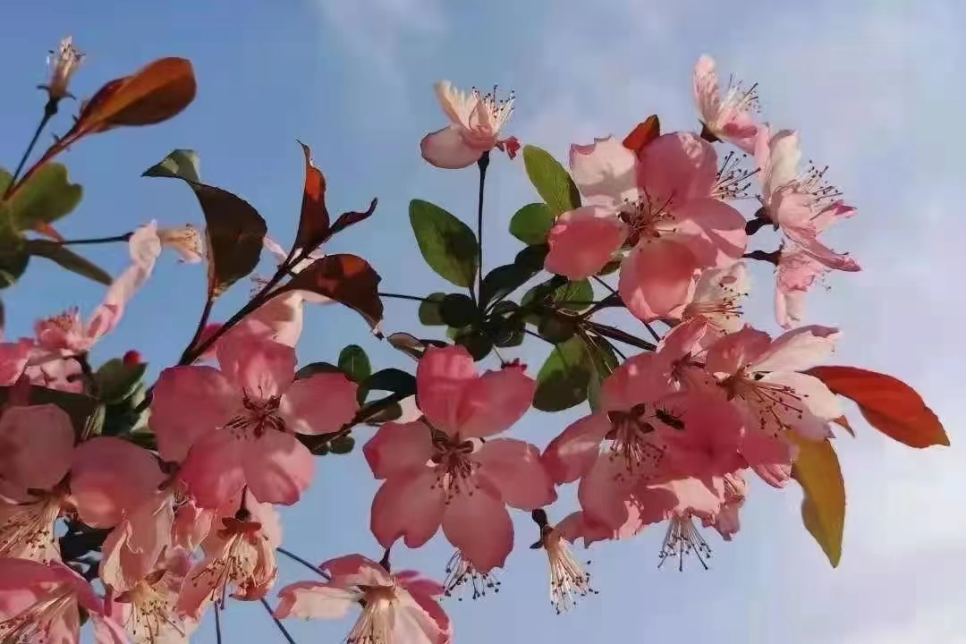 新葡京博彩官网