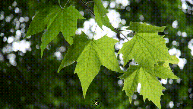 新葡京博彩官网