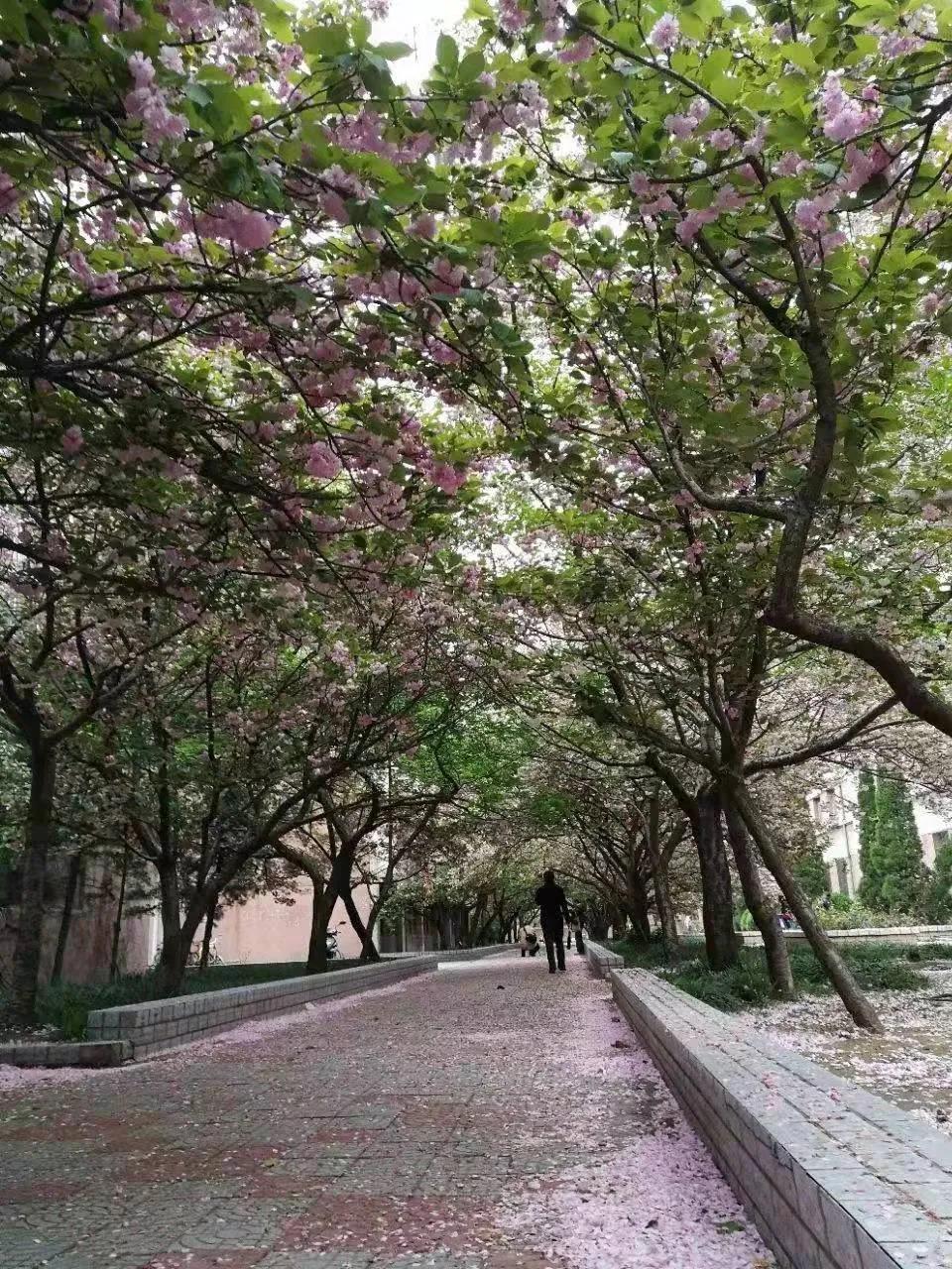 新葡京博彩官网