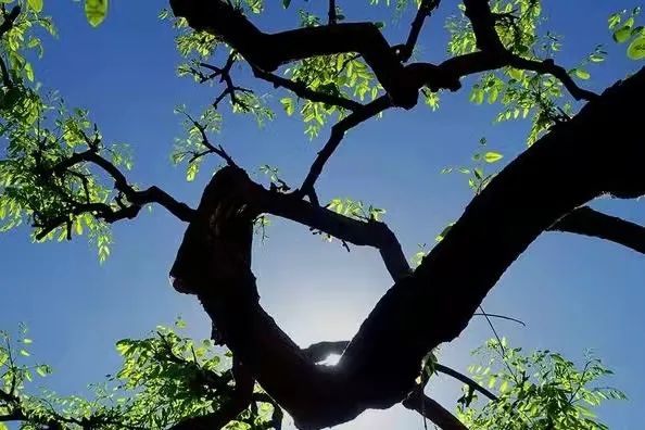 新葡京博彩官网