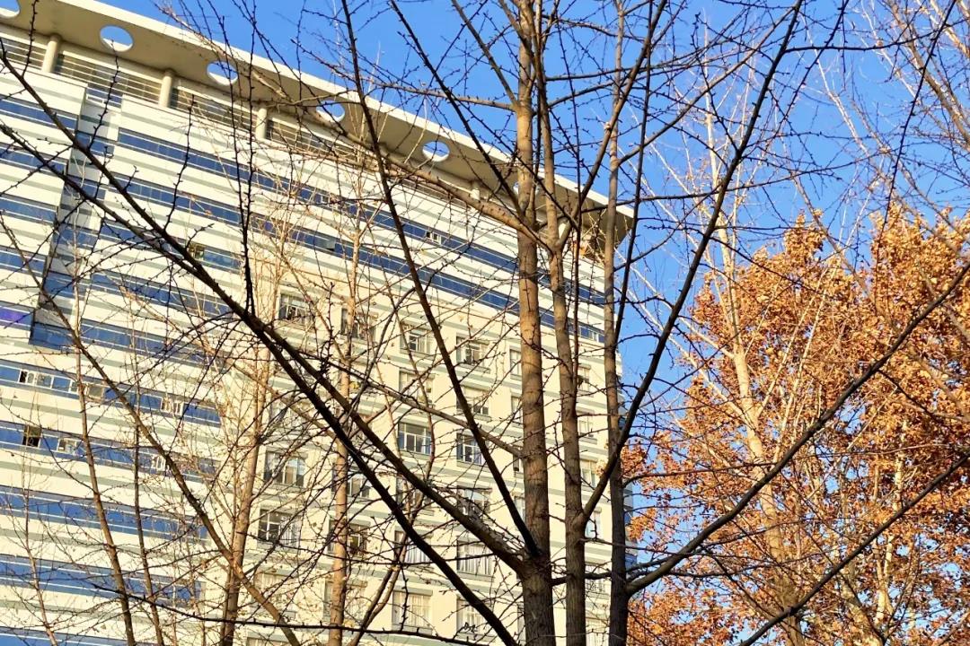 新葡京博彩官网