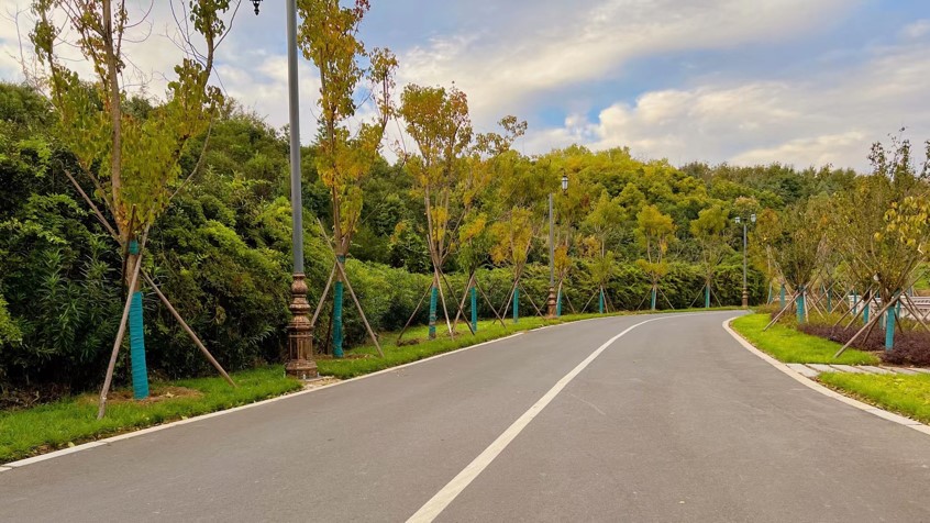 新葡京博彩官网