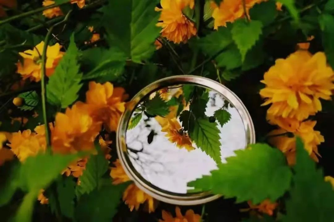 新葡京博彩官网