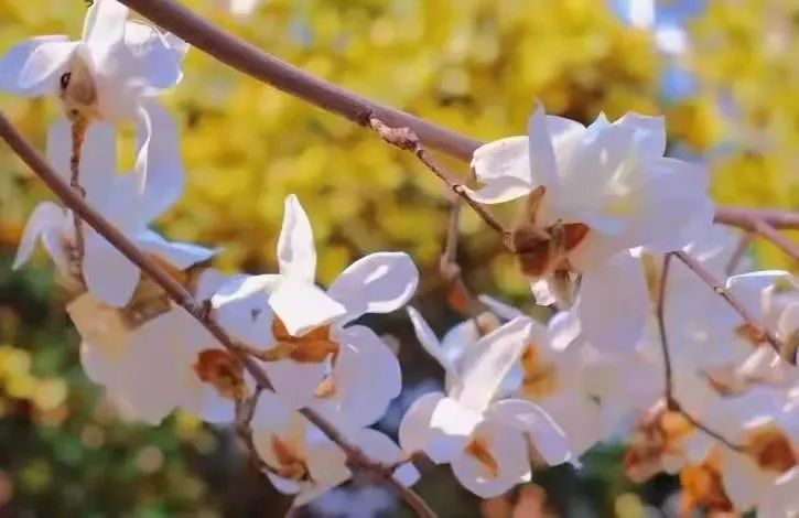 新葡京博彩官网