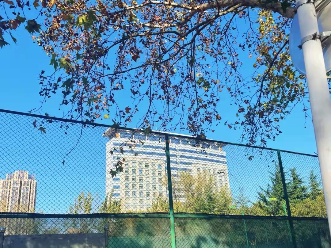 新葡京博彩官网