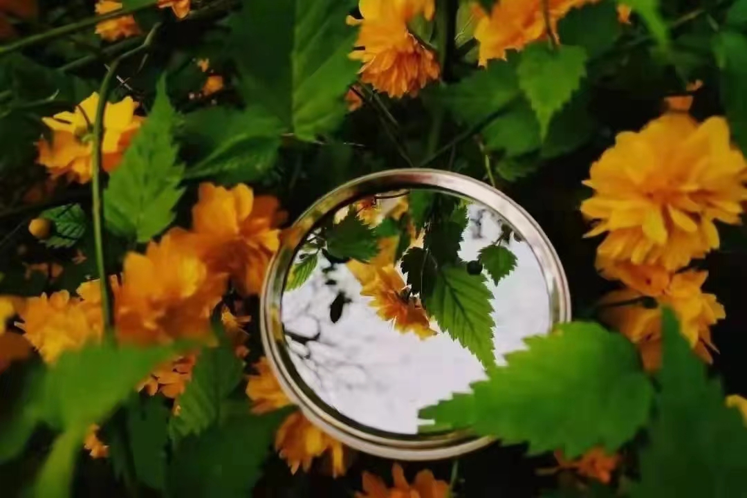 新葡京博彩官网