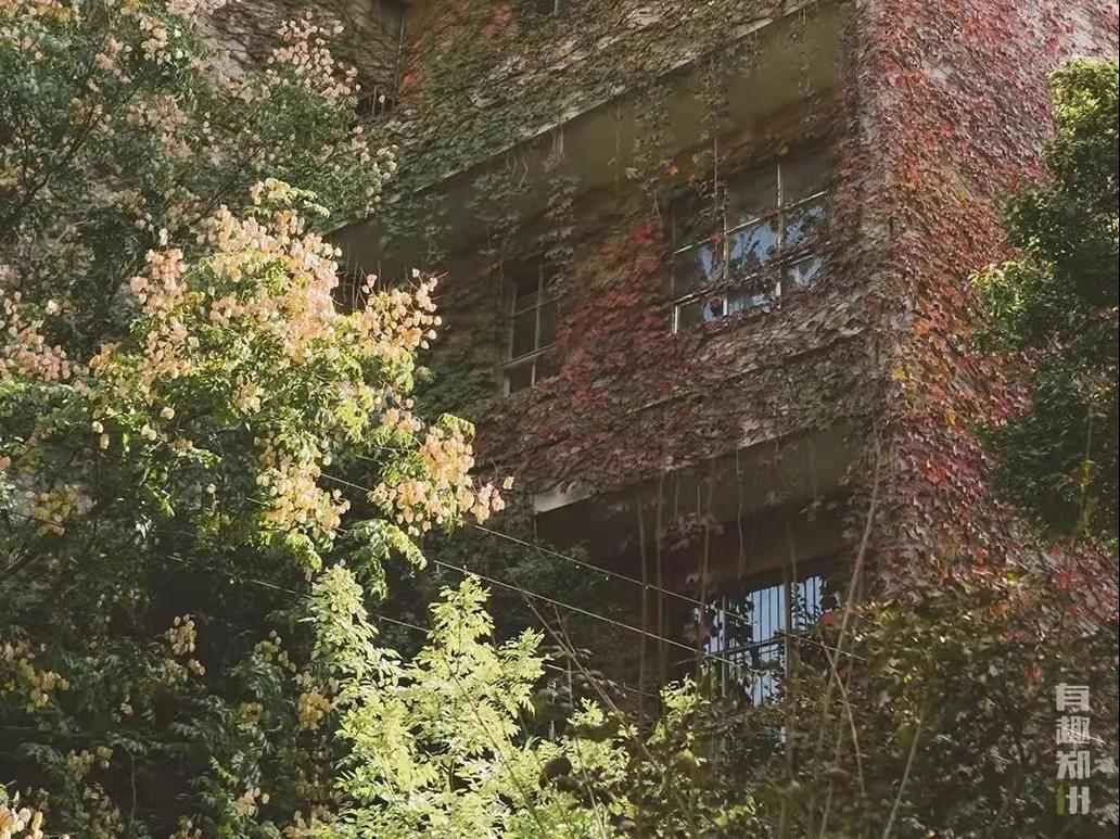 新葡京博彩官网