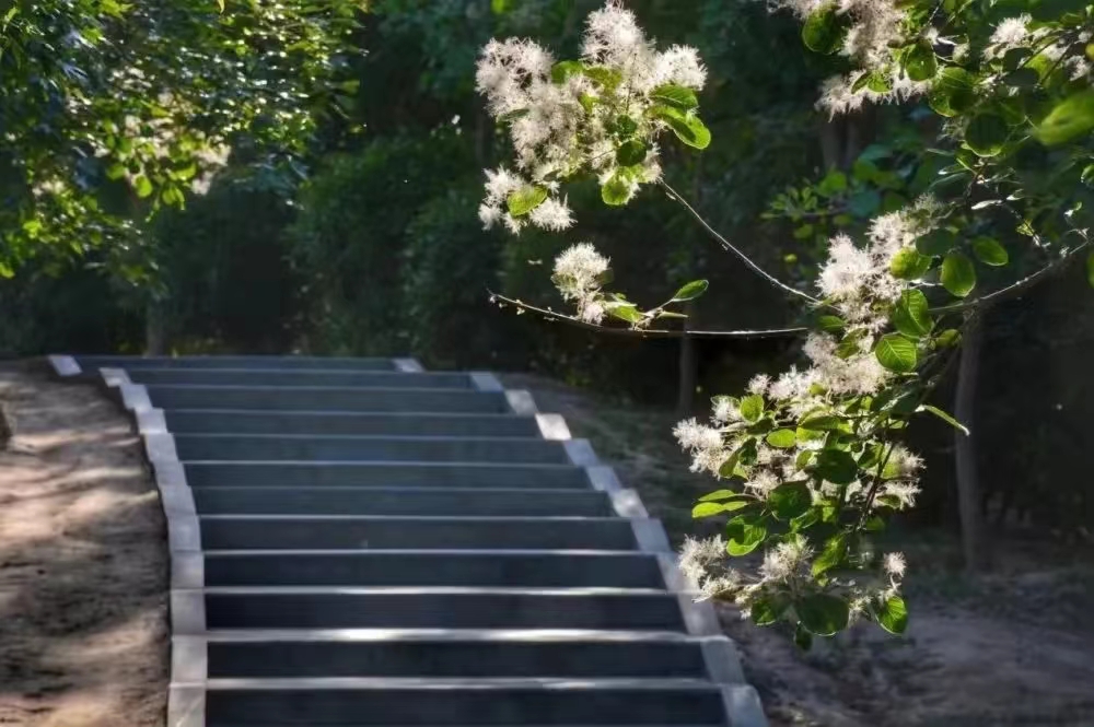 新葡京博彩官网