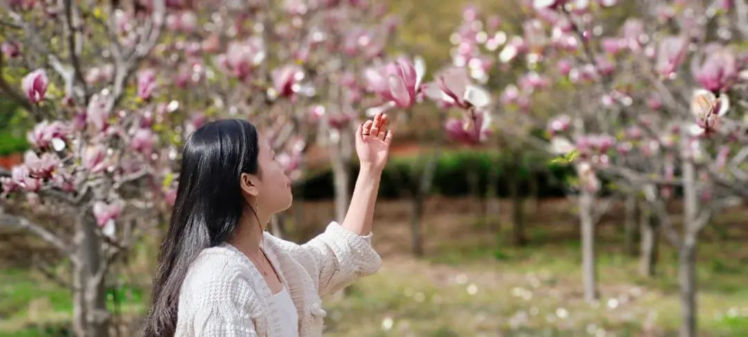 新葡京博彩官网