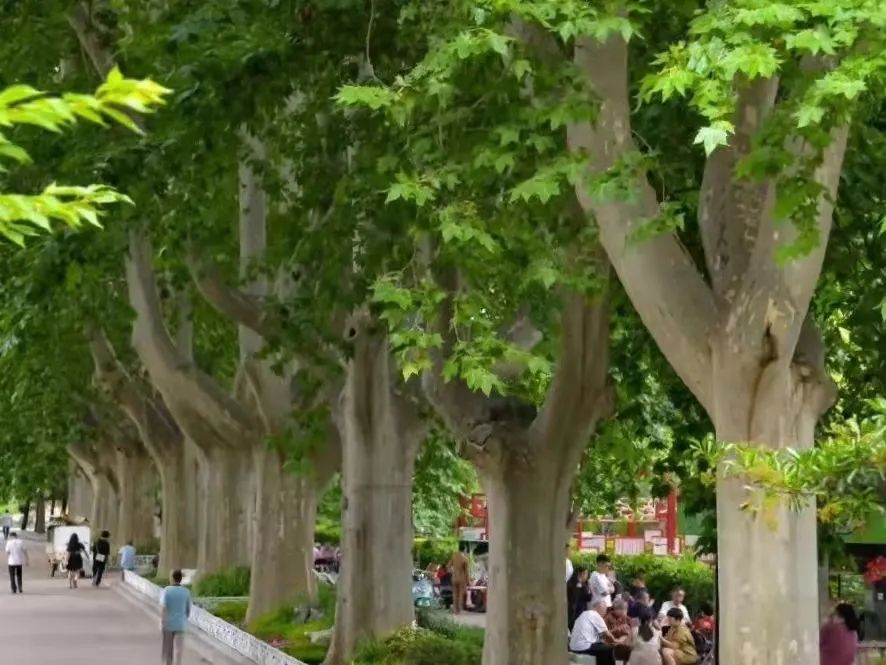 新葡京博彩官网