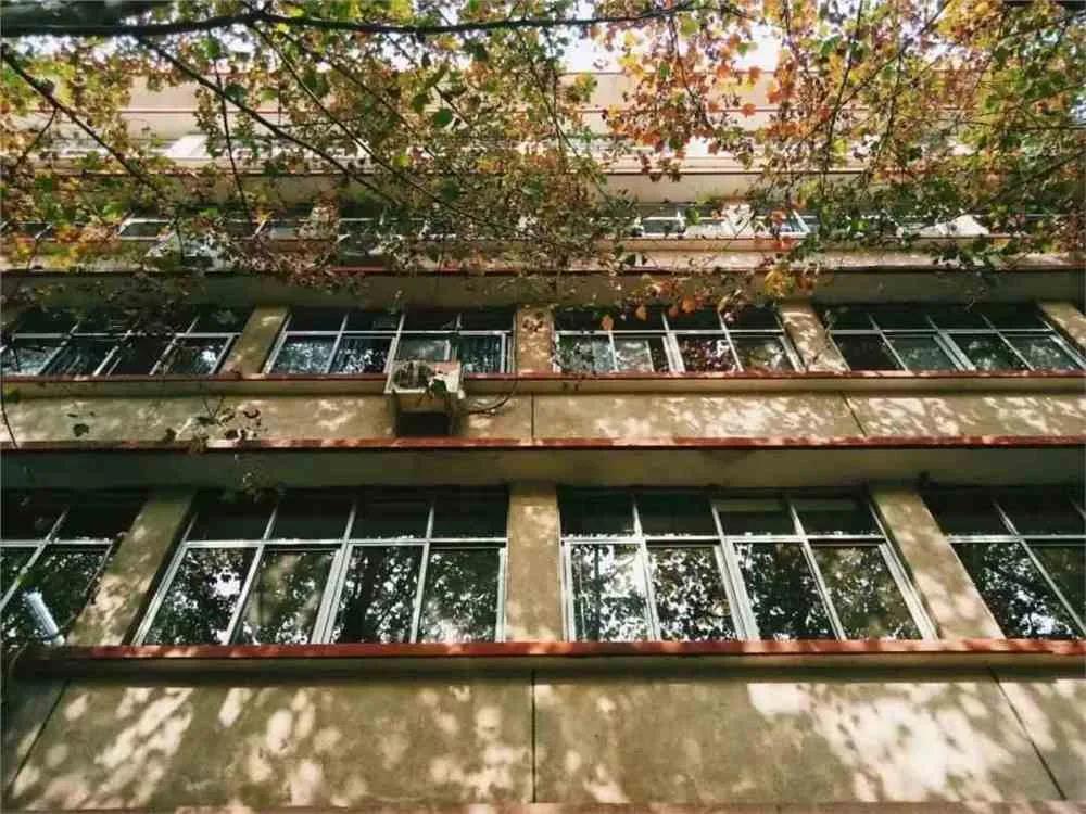 新葡京博彩官网