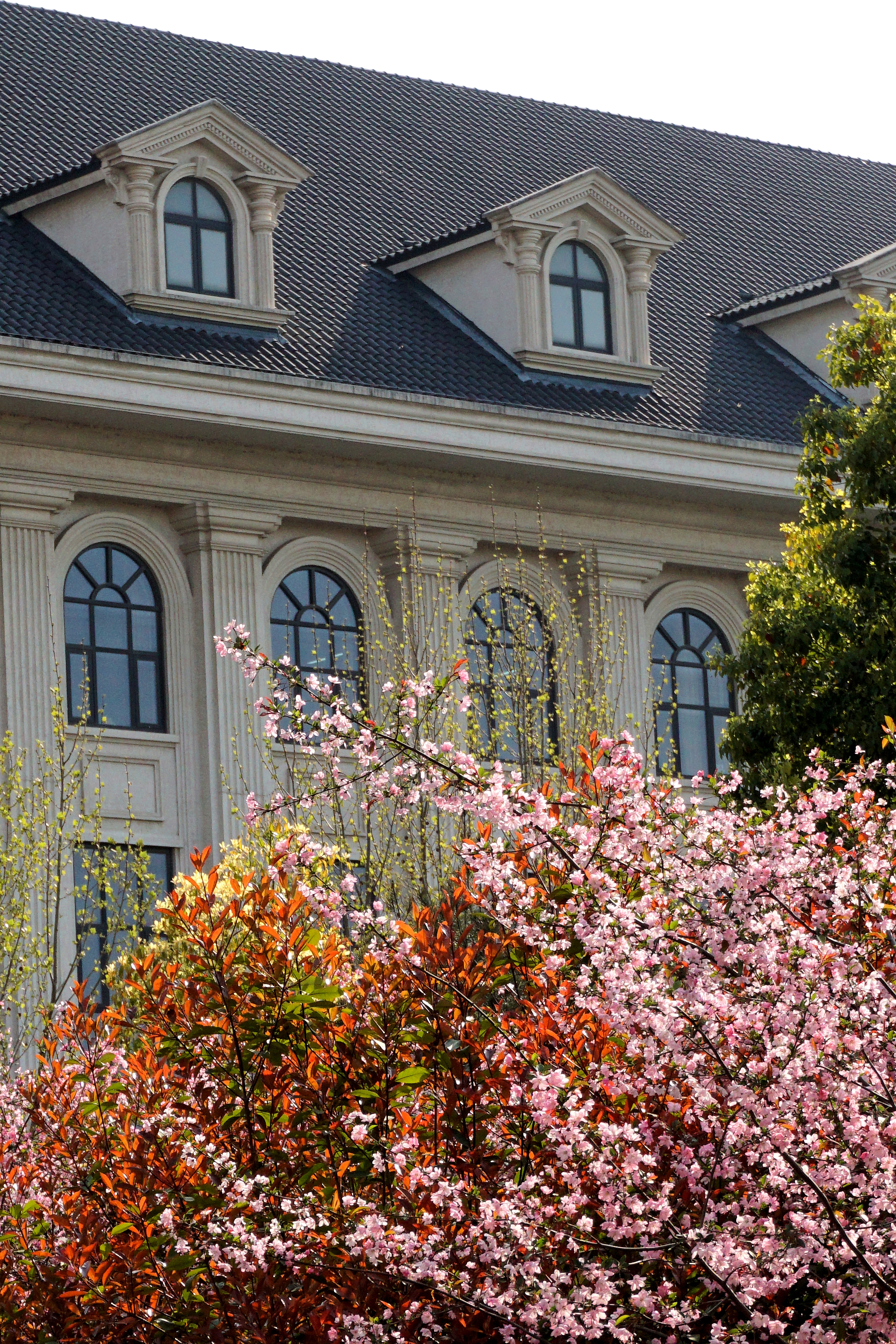 新葡京博彩官网