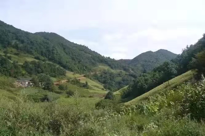 新葡京博彩官网