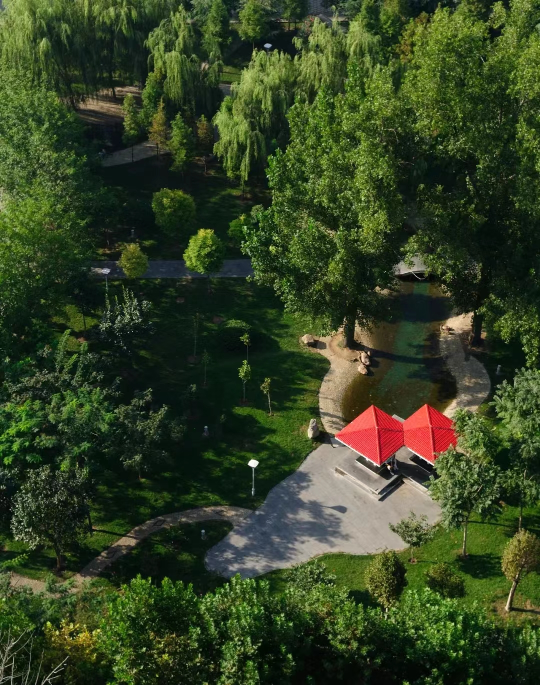 新葡京博彩官网