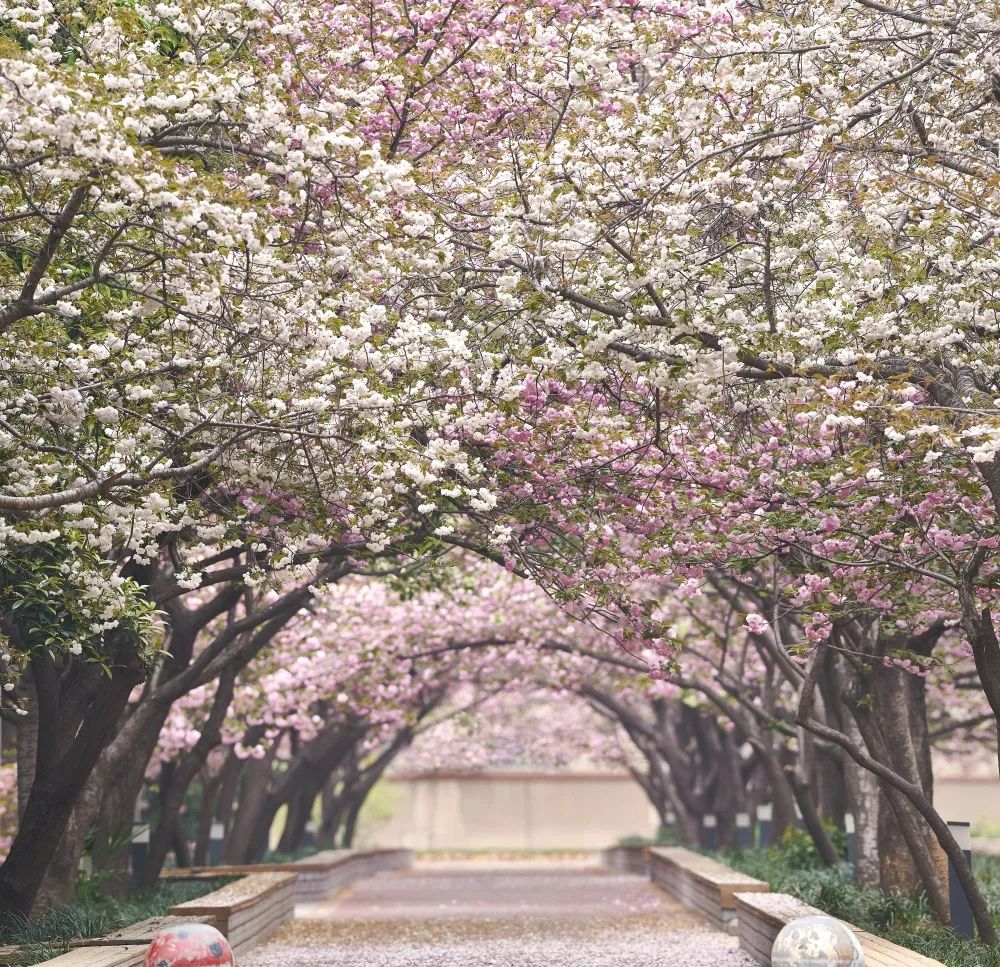 新葡京博彩官网