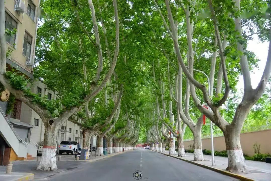 新葡京博彩官网