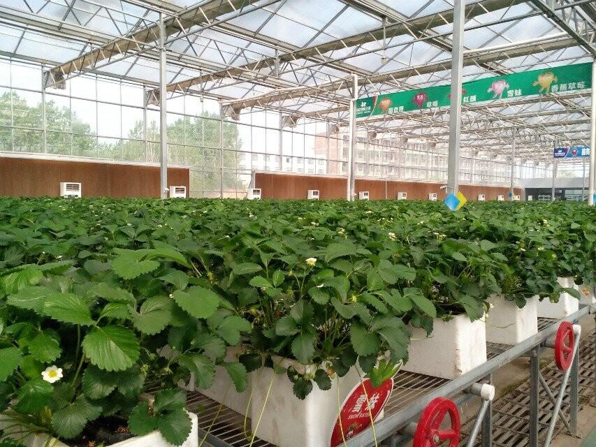 新葡京博彩官网