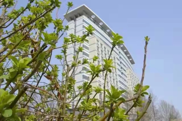 新葡京博彩官网