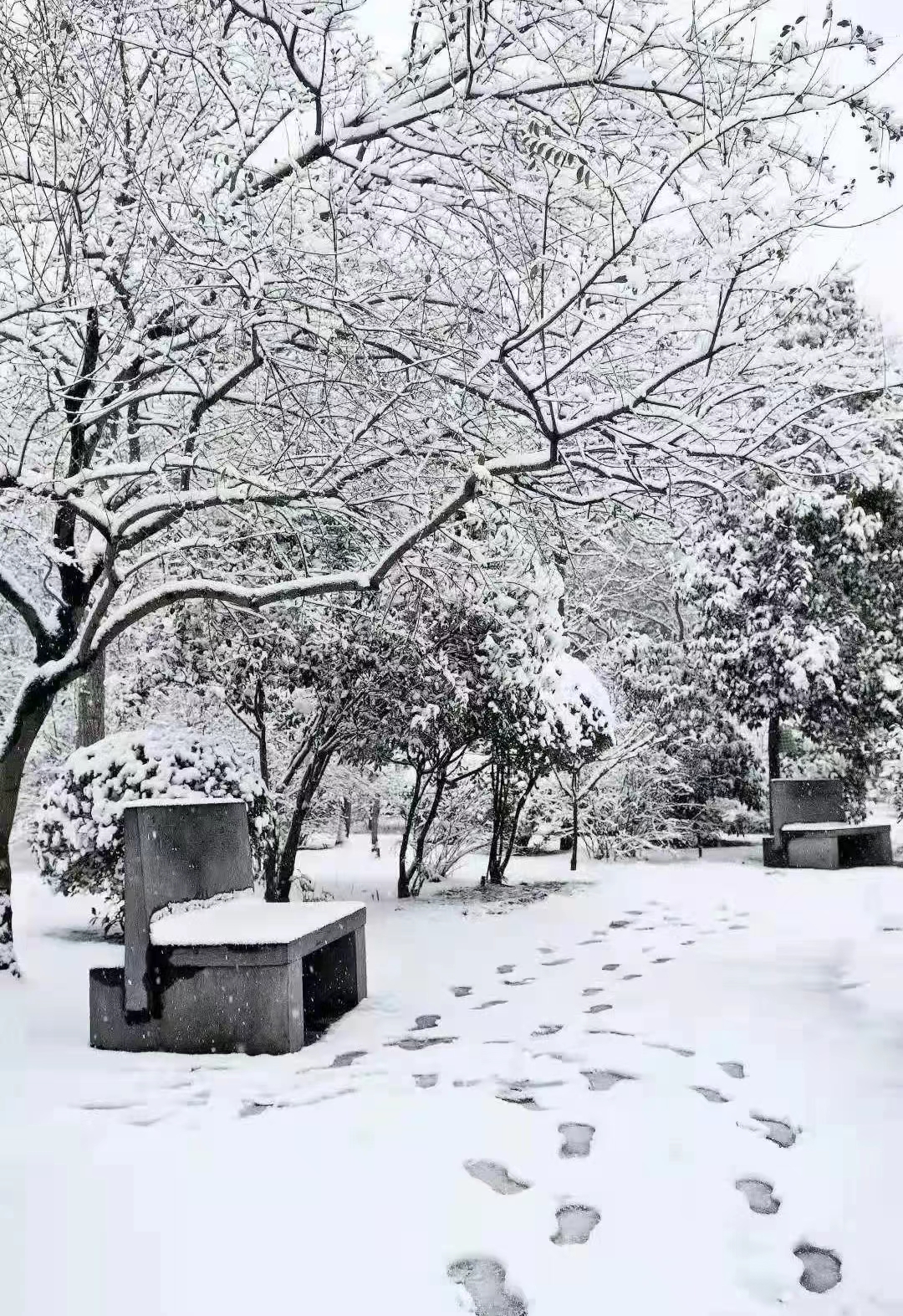 新葡京博彩官网