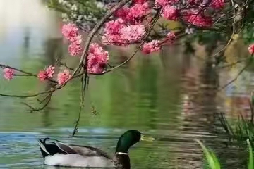 新葡京博彩官网