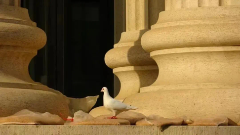新葡京博彩官网