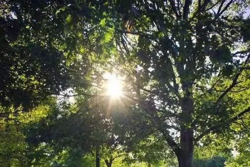 新葡京博彩官网