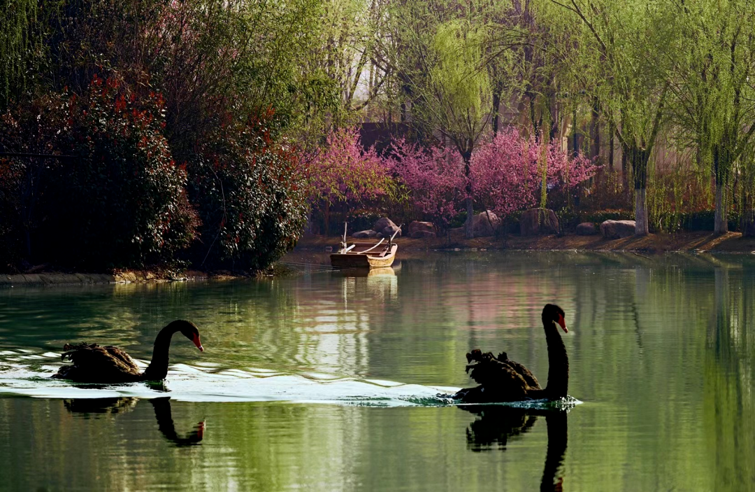 新葡京博彩官网